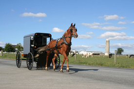 Horse-Drawn Amish Buggy Hit By Truck in Northwestern PA; 2 Dead