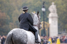 Seven pedestrians injured by police horses at NY holiday event