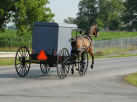 Upstate NY Crash Alert: Four injured when car struck buggy