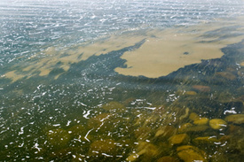 Ohio water pollution: Grand Lake St. Marys plagued with toxic algae blooms