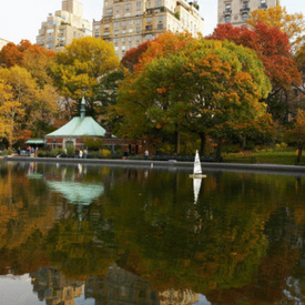 New York environmental law: State bans phosphorus in dish detergents, fertilizer