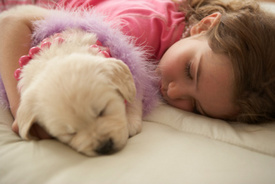 Study: Keep your pets off your bed, its not good for your health