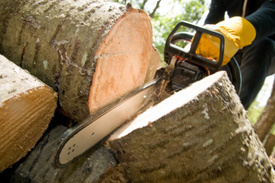 Tree-Cutting Workplace Accident Injures Knoll Club Worker